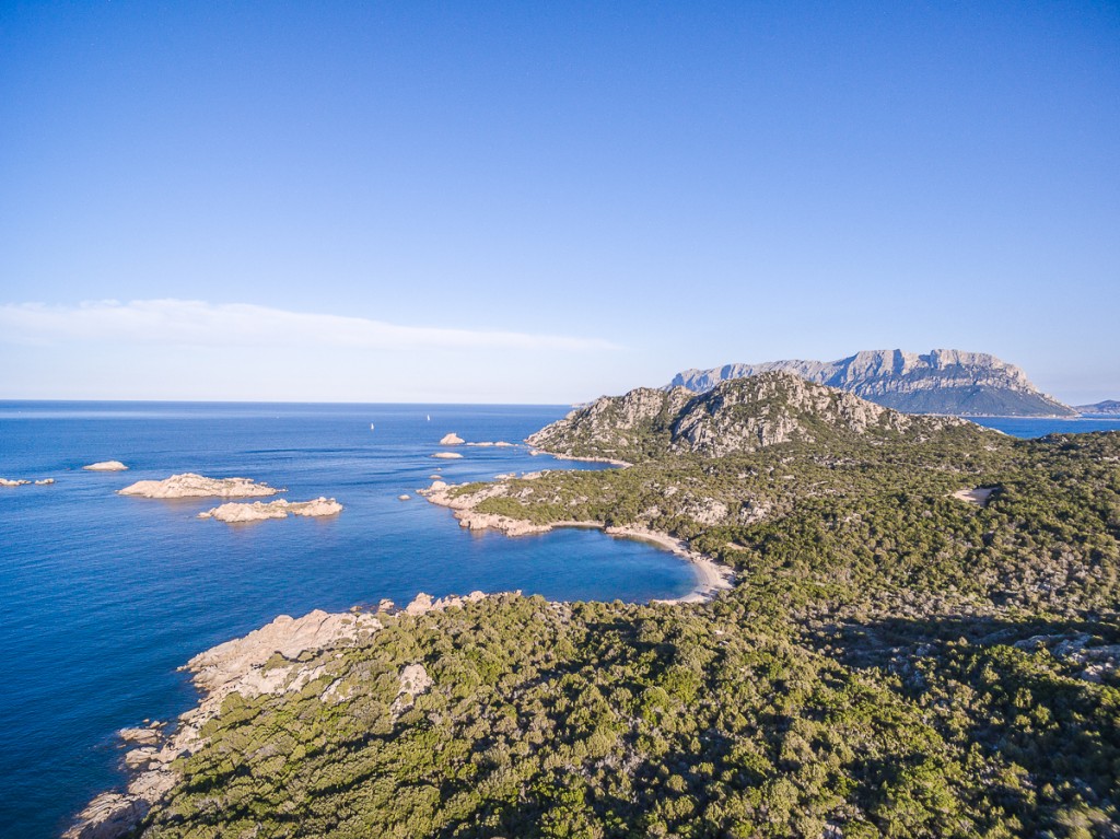 Capo Ceraso