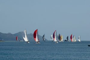 Regata