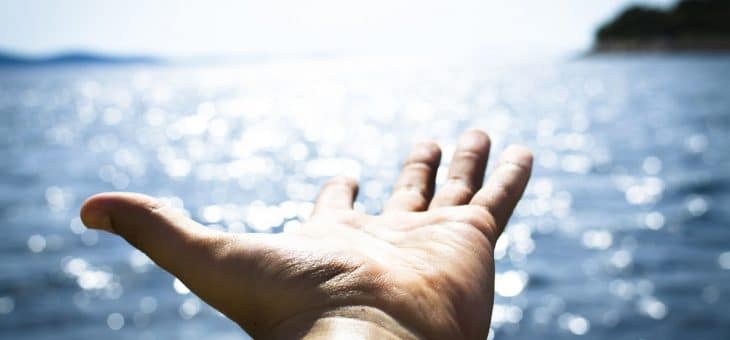 One Ocean Forum: do you have the future of your sea and the oceans at heart?