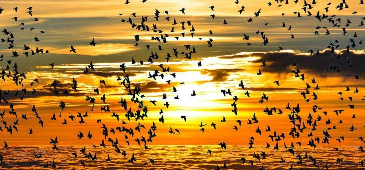 5 cose da fare in Sardegna in ottobre e novembre